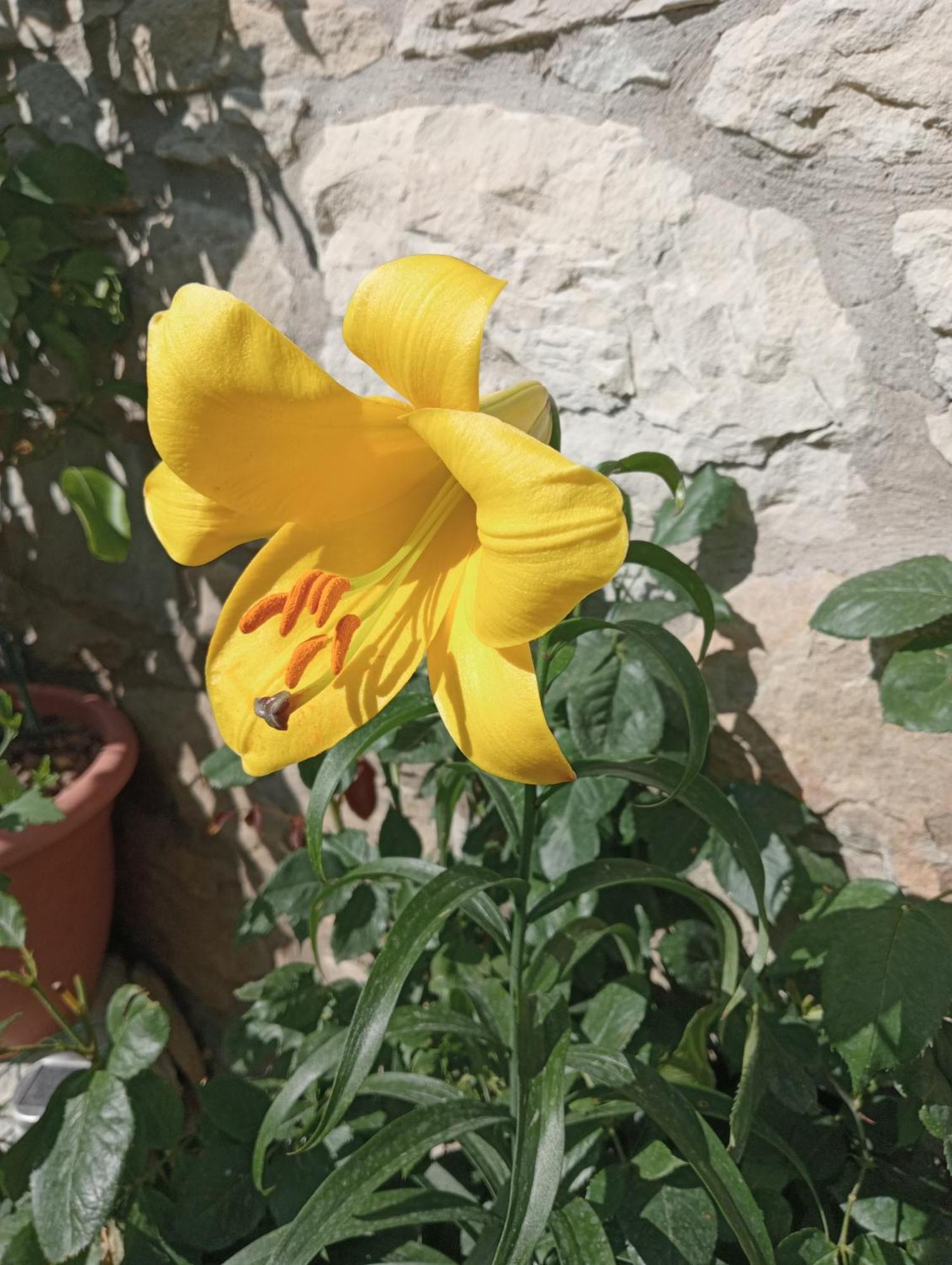 Bebbio Casale Monte Valestra B&B 객실 사진